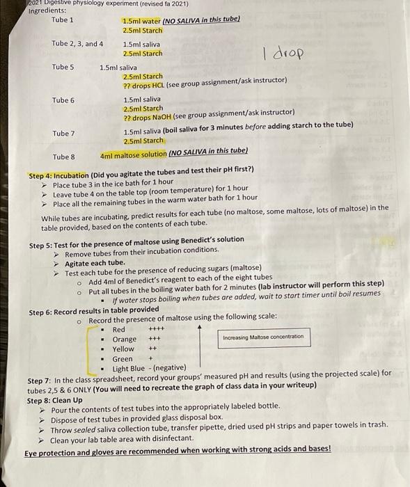 Solved 2021 Digestive physiology experiment (revised fa | Chegg.com