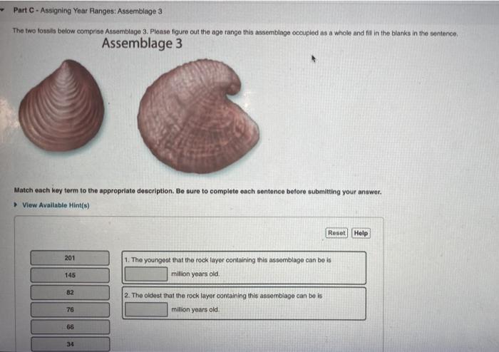 Solved ab Activity  - Index Fossil Assemblages The fossil 