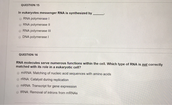 Solved Question 15 In Eukaryotes Messenger Rna Is Synthes Chegg Com Solved Question 15 In Eukaryotes Messenger Rna Is Synthes Chegg Com