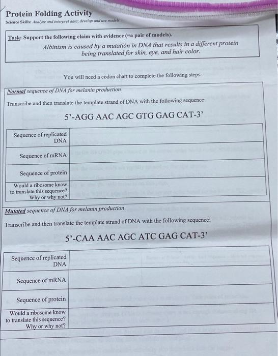 Solved Protein Folding Activity Seience Skillsi dnabyer and