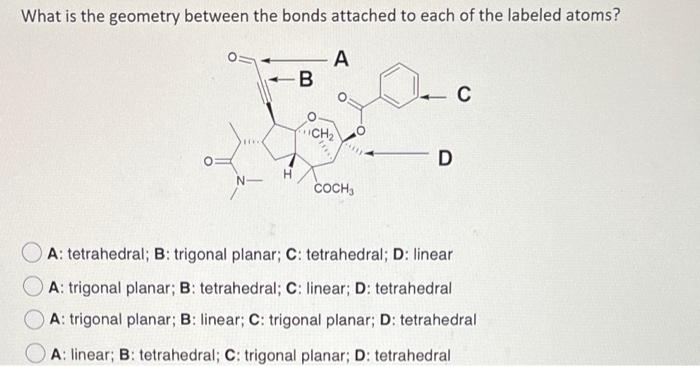 Solved What is the hybridization of each labeled atom below? | Chegg.com