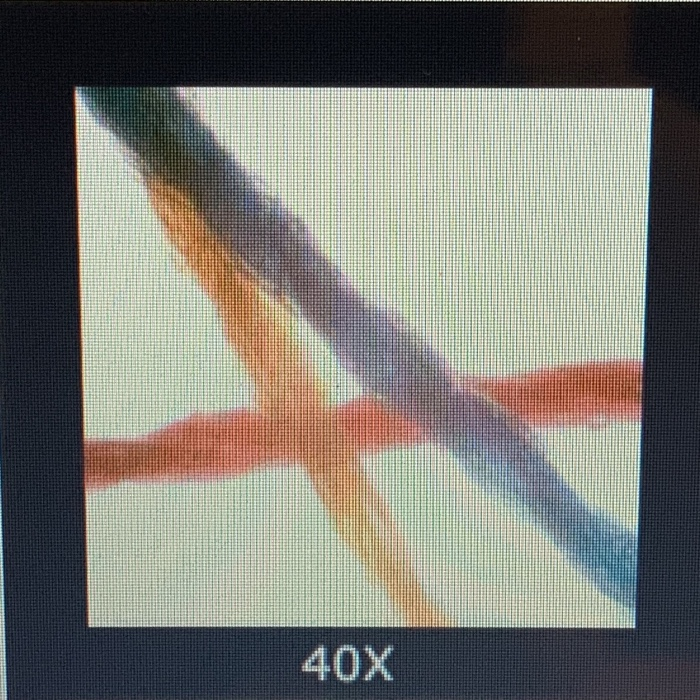 Solved 3 Record your observations of the coloredthreads