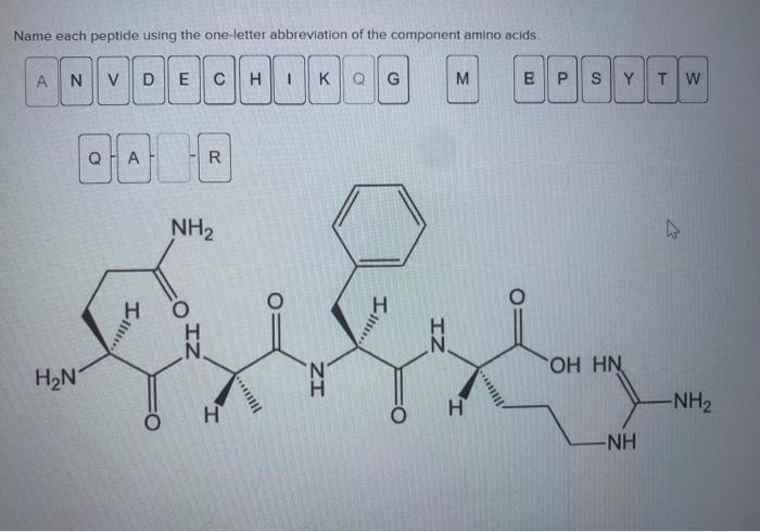 Solved Name each peptide using the one-letter abbreviation | Chegg.com