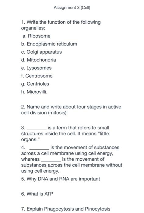 Solved Assignment 3 (Cell) 1. Write the function of the | Chegg.com