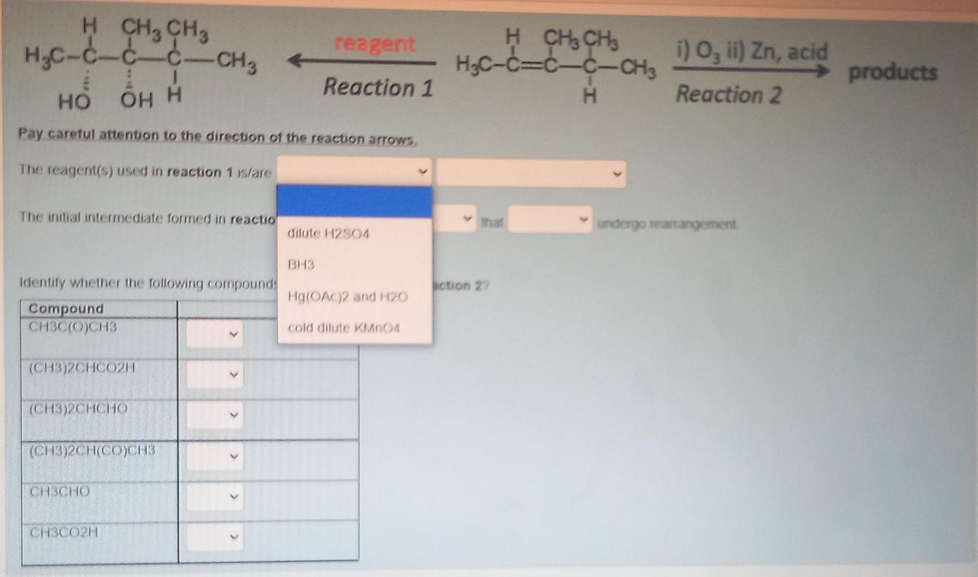 Solved H CH3 CH3 H₃C-c-c-c-CH₂ Reagent H CHẠCH H.C-C=C-C-CH3 | Chegg.com