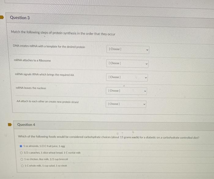 Question 3 Match the following steps of protein synthesis in the order that they occur DNA creates mRNA with a template for t