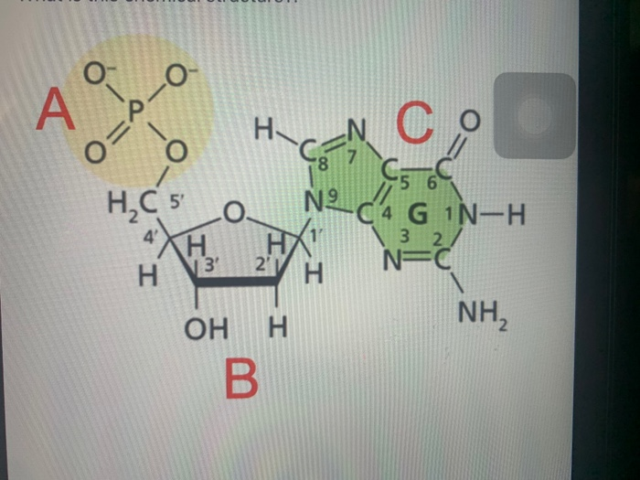 c 8 h 7 n 3 o 2
