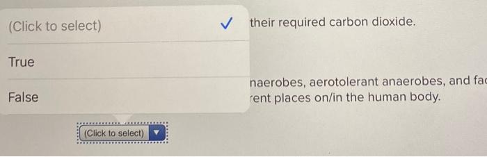 Solved Required information Read the overview and complete | Chegg.com