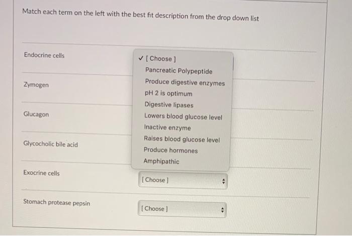Solved Match each term on the left with the best fit | Chegg.com