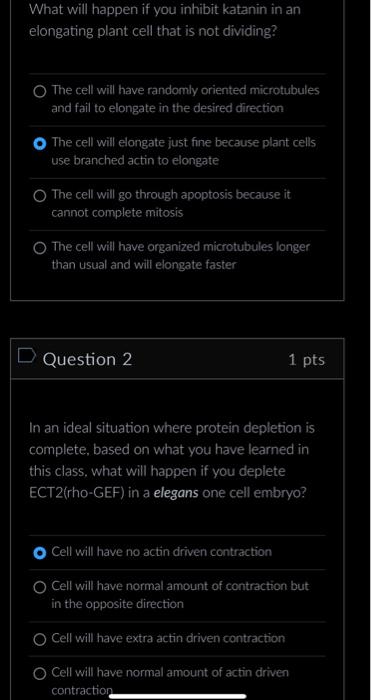 Solved What will happen if you inhibit katanin in an | Chegg.com