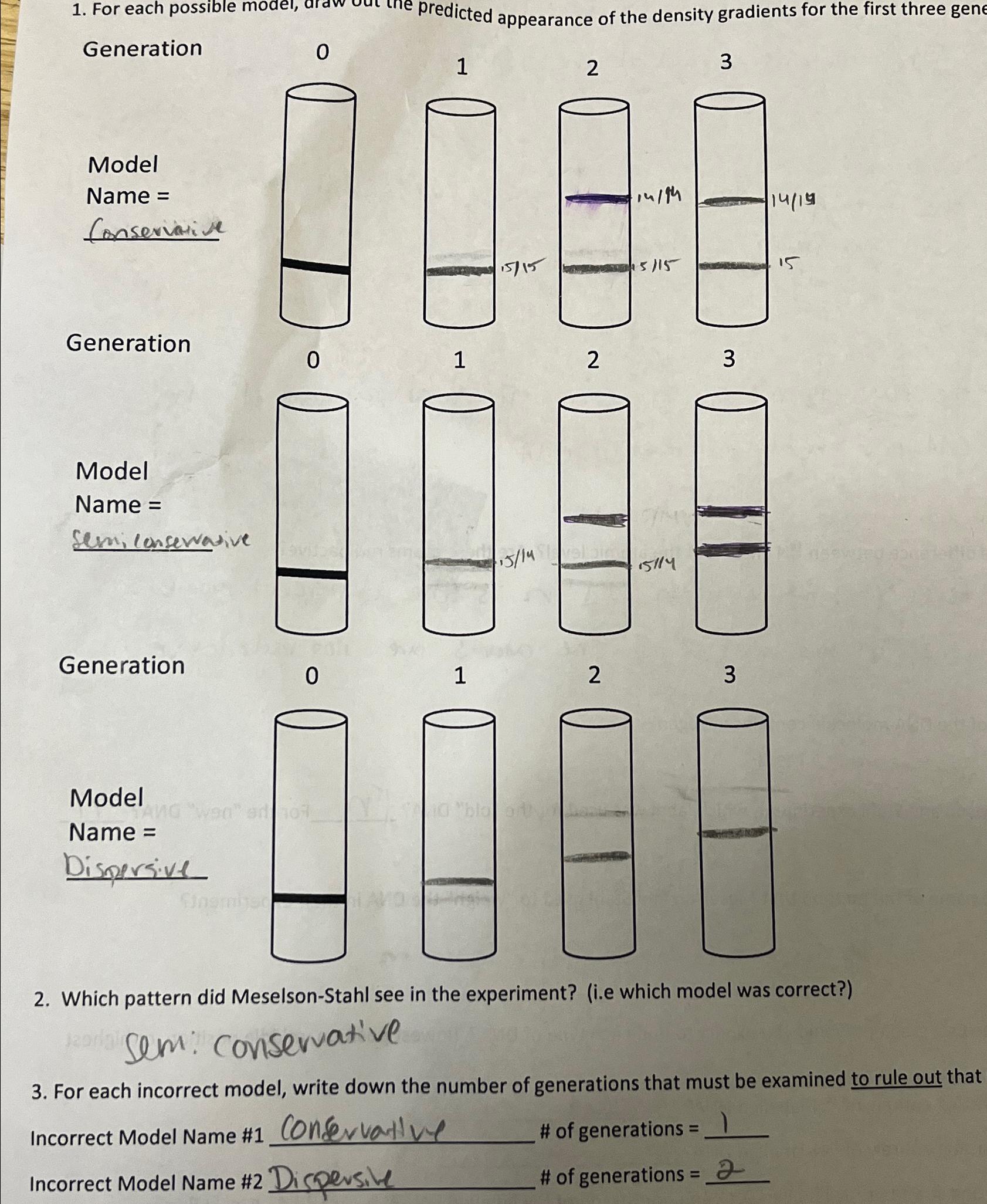 Solved For each possible model, ard of the density gradients | Chegg.com