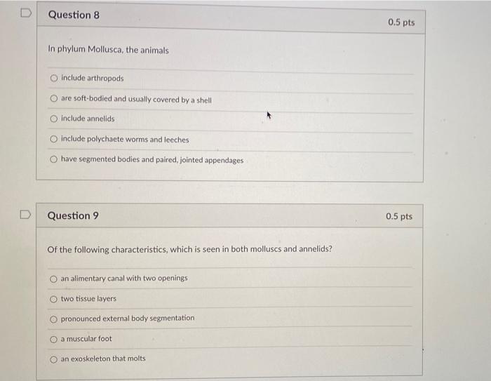 Solved D Question 8 0.5 pts In phylum Mollusca, the animals | Chegg.com