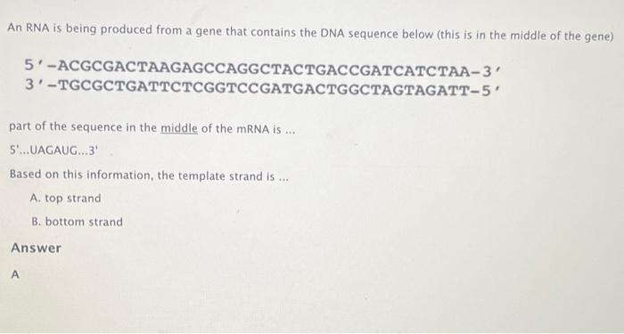 Solved I know A is the template strand but how do you figure Chegg com