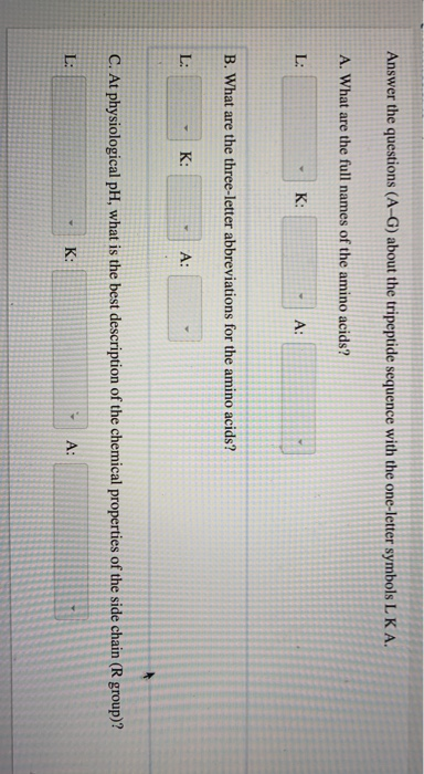 Solved Answer the questions (A-G) about the tripeptide | Chegg.com