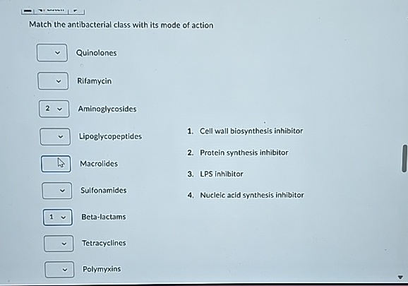 Solved Match the antibacterial class with its mode of | Chegg.com