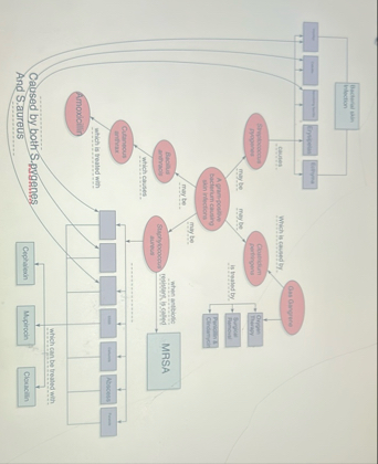 Solved Fill in the blanks for this concept map | Chegg.com
