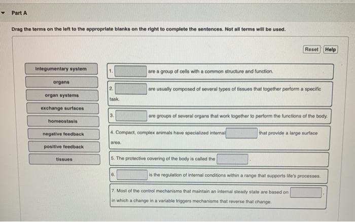 Solved Part A Drag the terms on the left to the appropriate | Chegg.com