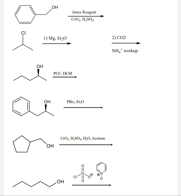 Solved Jones Reagent CrO3, H2SO4 1) Mg, Et20 2) CO2 | Chegg.com