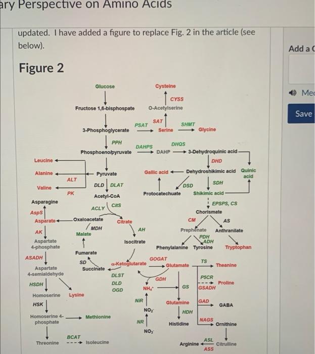 Solved Q1. (a) Draw (type) the structure of an amino acid | Chegg.com