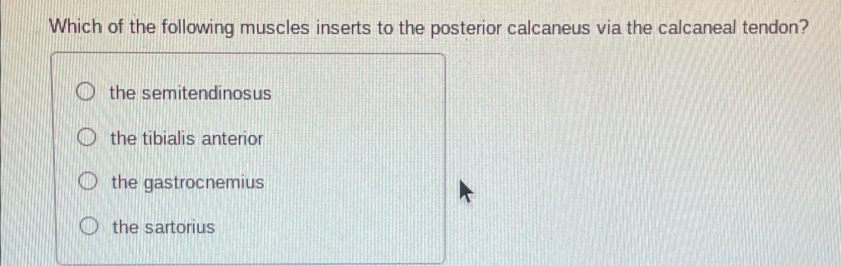 Solved Which of the following muscles inserts to the | Chegg.com