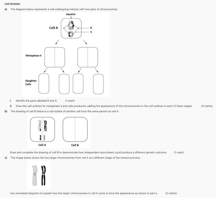 Solved Cell division a) The diagram below represents a cell | Chegg.com