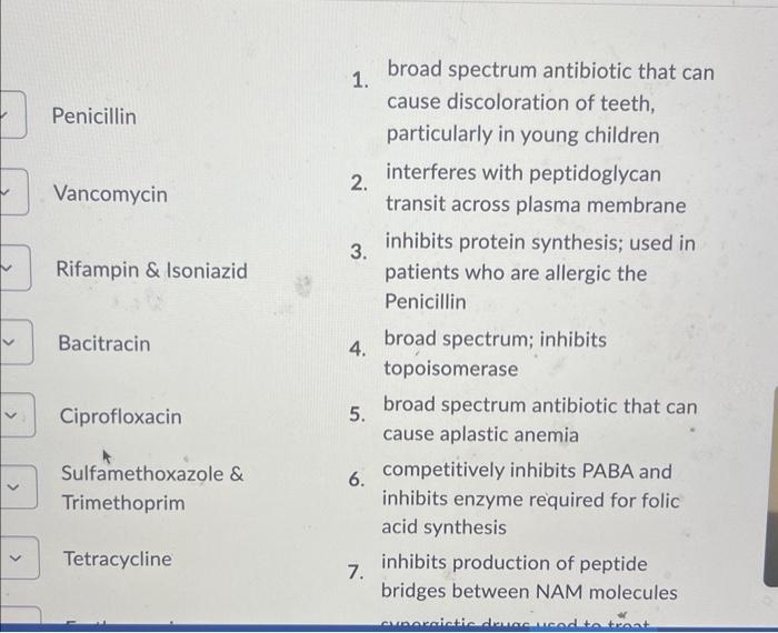 Solved 1 Broad Spectrum Antibiotic That Can Penicillin Chegg Com   Image