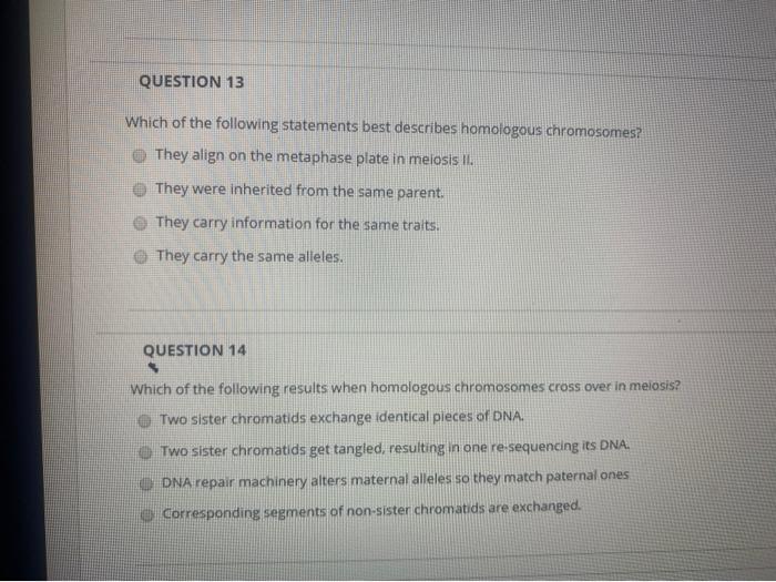 Which Of The Following Statements Best Describes Homologous Chromosomes