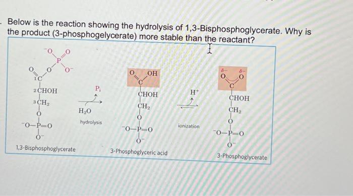 - Below is the reaction showing the hydrolysis of 1,3-Bisphosphoglycerate. Why is
(3-phosphogelycerate) more stable than the 