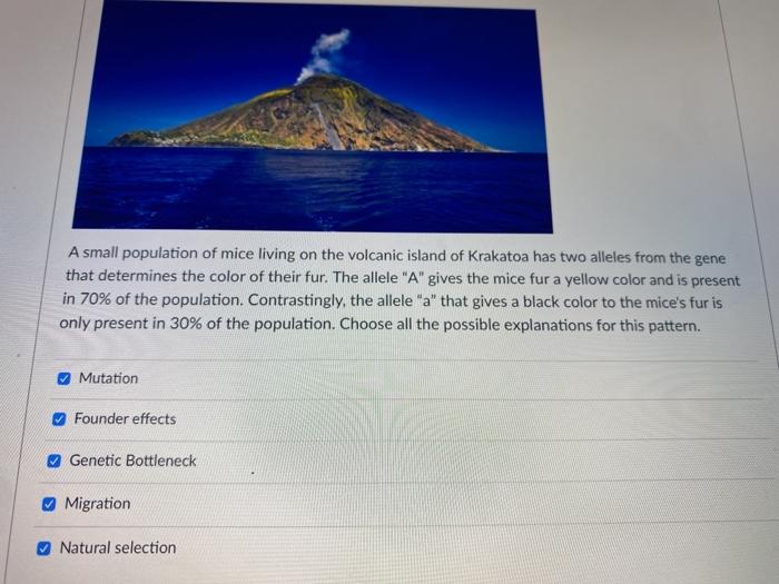 case study on volcano mice answer key