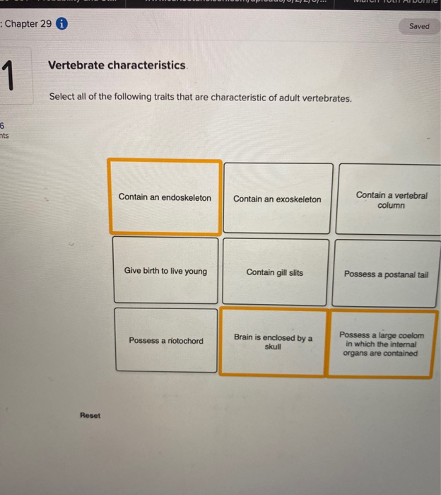 Solved Chapter 29 0 Saved Vertebrate characteristics Select