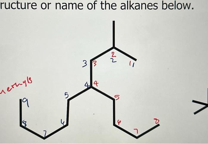 Solved what would the name of this structure be? is my | Chegg.com