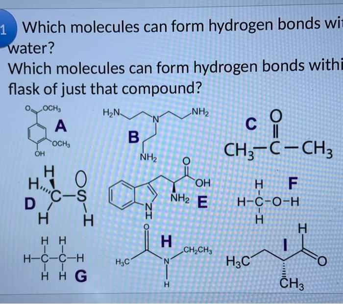 Solved Q1 Which Molecules Can Form Hydrogen Bonds With