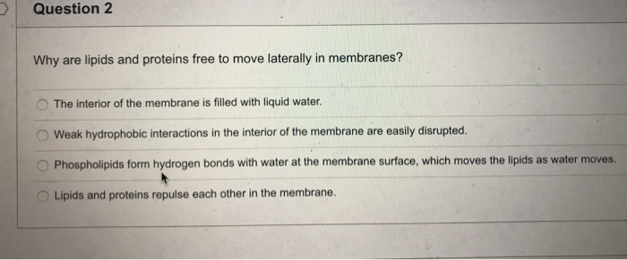 Solved Question 2 Why Are Lipids And Proteins Free To Mov Chegg Com