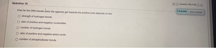 Solved Question 11 24 points Save Answer The DNA template | Chegg.com