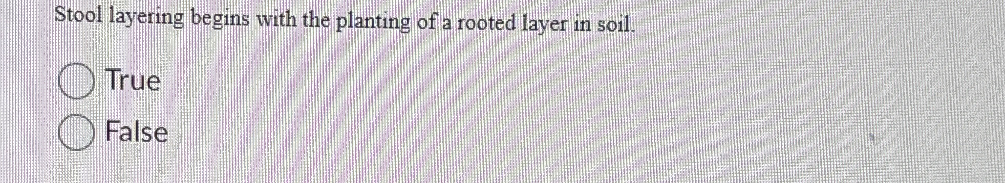 Solved Stool layering begins with the planting of a rooted | Chegg.com