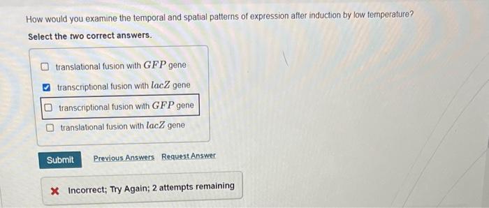 Solved How would you examine the temporal and spatial | Chegg.com