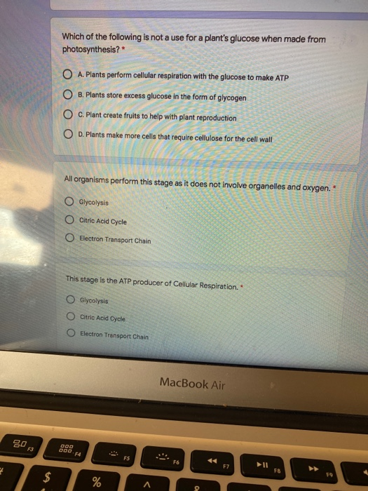 Solved Which of the following is not a use for a plant's | Chegg.com