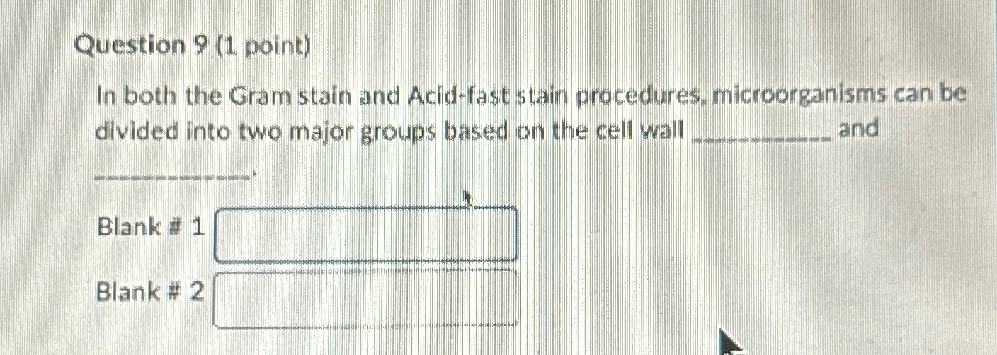 Solved Question 9 (1 ﻿point)In both the Gram stain and | Chegg.com