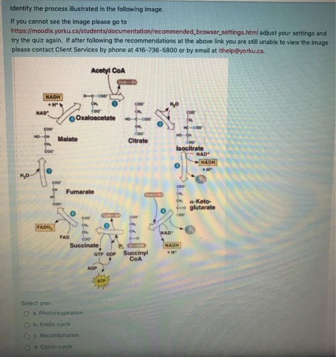Solved Identify the process illustrated in the following | Chegg.com