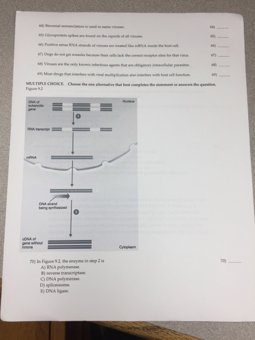 Binomial nomenclature worksheet pdf image