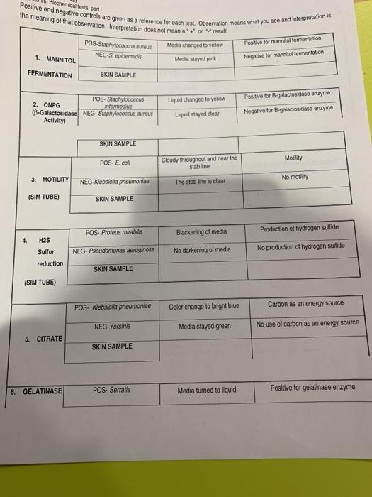 Biochemical tests, part Positive and negative controls are given as a reference for each test. Observation means what you see