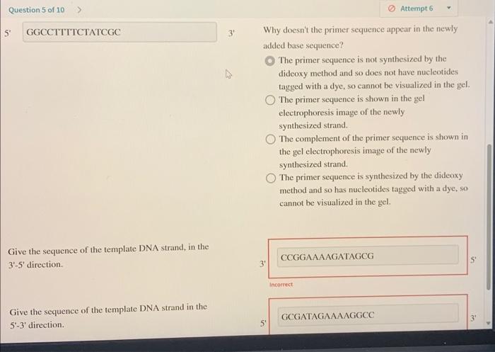 Solved A DNA fragment was sequenced using dideoxy | Chegg.com