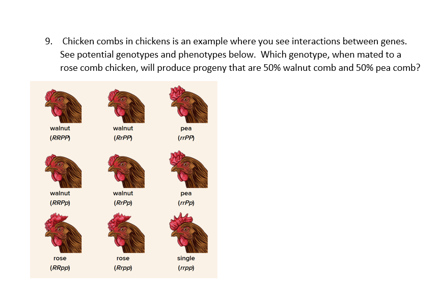 Solved Chicken combs in chickens is an example where you see | Chegg.com
