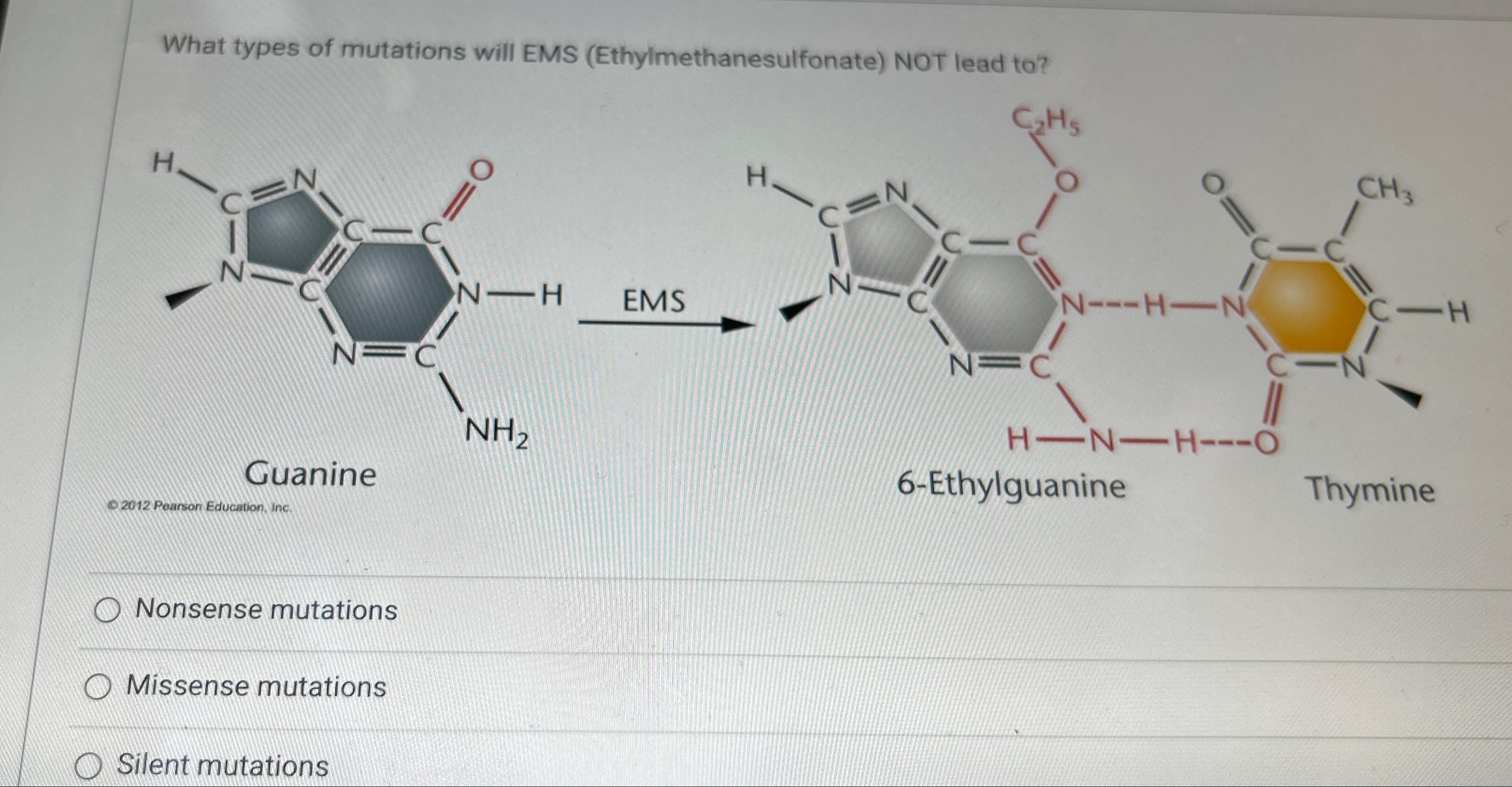 Solved What types of mutations will EMS | Chegg.com
