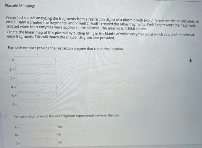 Solved Plasmid Mapping: Presented is a gel analyzing the | Chegg.com