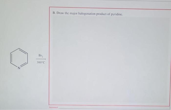 Solved B. Draw the major halogenation product of pyridine. | Chegg.com
