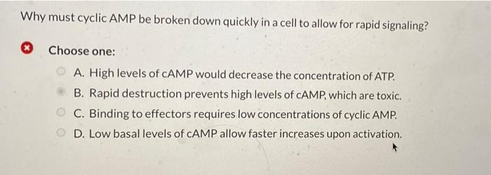 Why must cyclic AMP be broken down quickly in a cell to allow for rapid signaling?
Choose one:
A. High levels of CAMP would d