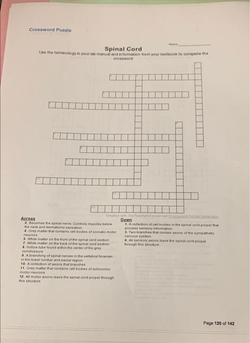 Crossword Puzzle Spinal Cord Use the terminology in Chegg com