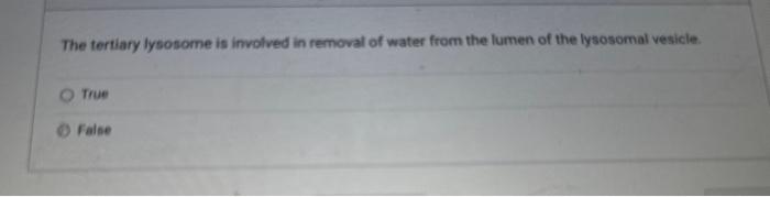 The tertiary lysosome is involved in removal of water from the lumen of the lysosomal vesicle.
True
False