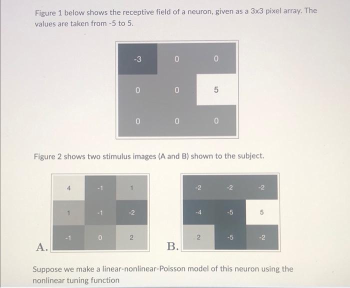 Solved Figure 1 below shows the receptive field of a neuron, | Chegg.com